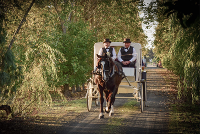 Wedding Carriage Bookings